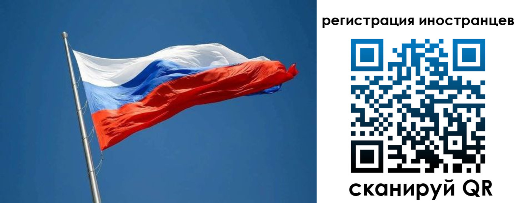 прописка в Шебекино